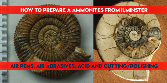 Preparation of ammonites from the  'Junction Bed' of  Ilminster, Somerset - ZOIC PalaeoTech