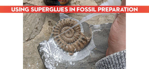 Superglues in Fossil Preparation