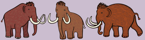 Mammoth Leggings (with Pockets!)