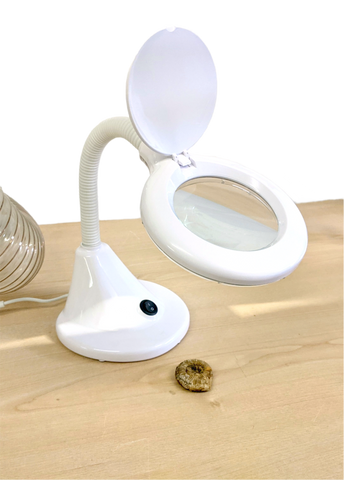 LED Compact Flexi Magnifying Lamp (UK PLUG)