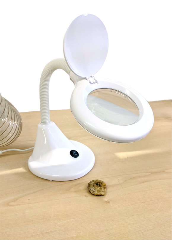 LED Compact Flexi Magnifying Lamp (UK PLUG)