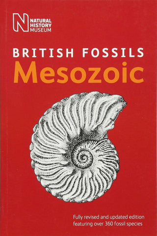 British mesozoic fossils book identification